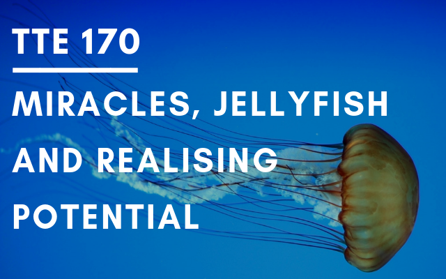 TTE 170 – Miracles, jellyfish and realising potential