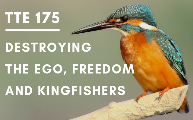 TTE 175 – Destroying the ego, freedom and kingfishers