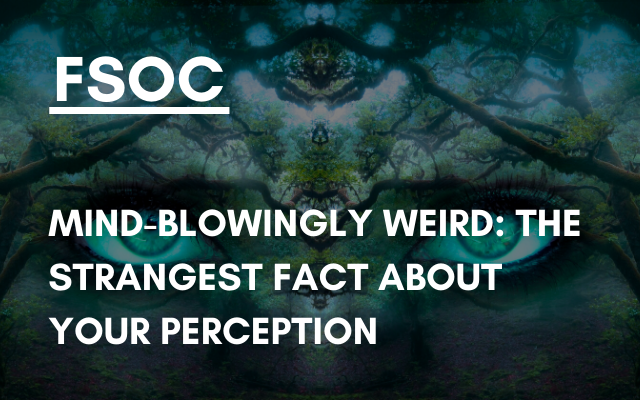 FSOC – Mind-blowingly weird: the strangest fact about your perception