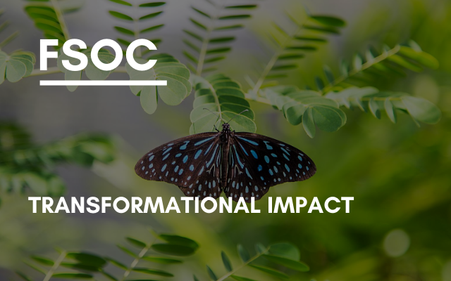 FSOC –  Transformational Impact