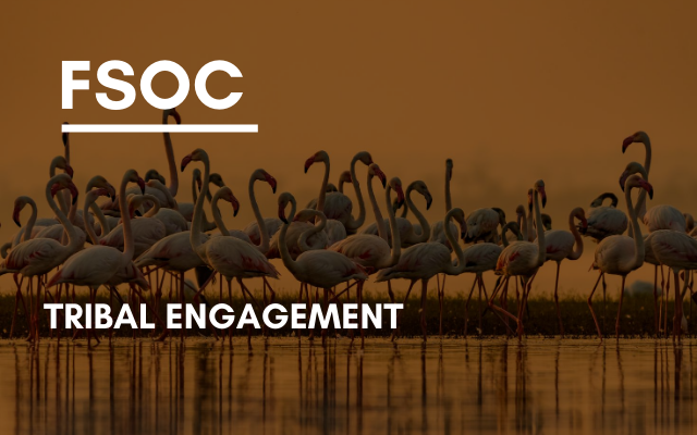 FSOC –  Tribal Engagement