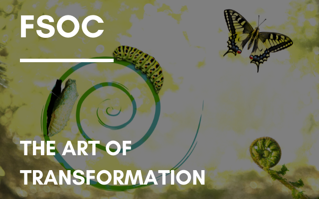 FSOC – The Art of Transformation