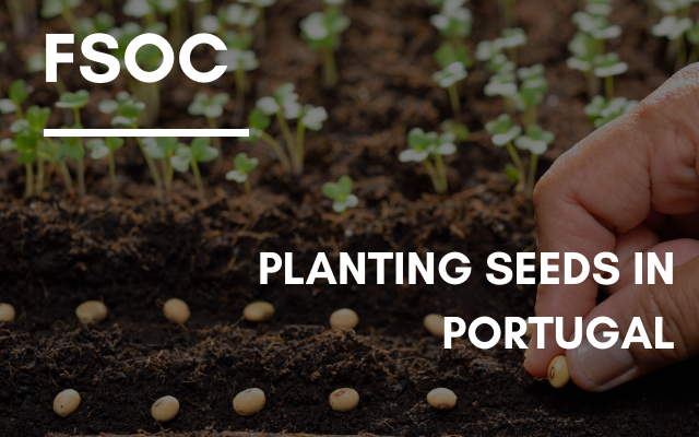 FSOC – Planting seeds in Portugal